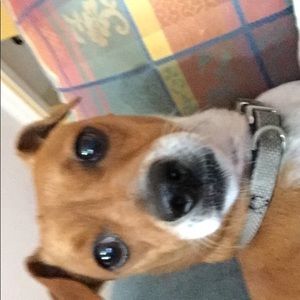 Meet your Posher, Jj